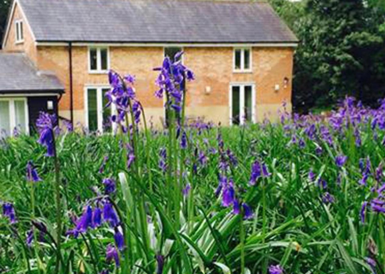 Grooms Cottage Alkham Bagian luar foto